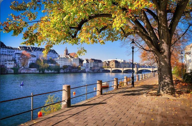 Apartmán Schweiz Basilej Exteriér fotografie