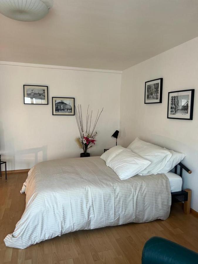 Apartmán Schweiz Basilej Exteriér fotografie